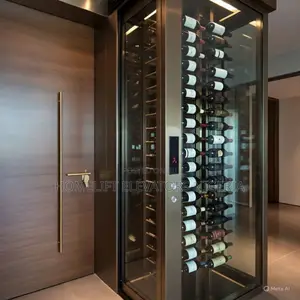 4m 6m Small Residential Villa Lift
