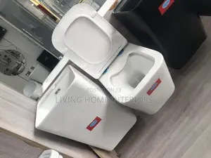 Conceal Toilet Seat With Suspended Basin