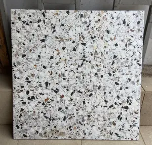 Venetian Marble Terrazo Tiles
