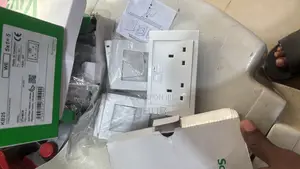 Schneider Double Socket