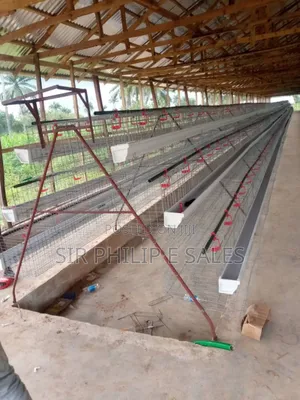 Battery Cages
