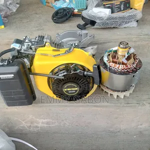 Half Engine/Coil (Copper)Of Generator Ec3000