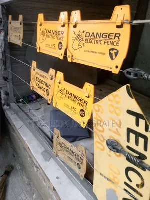 Double Pole Lightning Protector for an Electric Fence