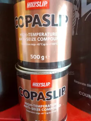 Copaslip Snti-Sieze Compound(Molyslip-500g)