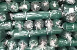 Scaffolding Safety Net