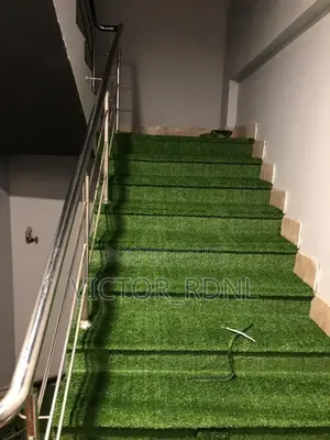 20 - 35mm Carpet Grass
