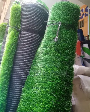 20 - 35mm Carpet Grass
