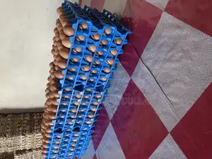 Eggs Crates of Egg