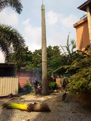 Folly Tree Maintenance and Landscaping Services