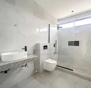 Luxury Wall Mounted Water Closet