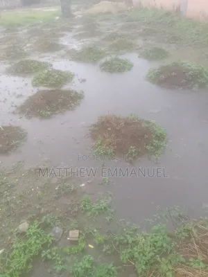 2 Plots Of Land