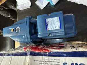 2hp Pedrollo Surface Pump