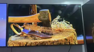 High-End 55” Lg Oled Evo Smart Tv With Thinq Ai