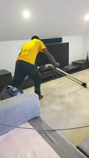 Deep Cleaning for Sofa and Rugs