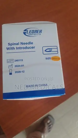 Spinal Needle With Introducer