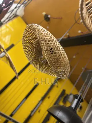 Restaurant Dropping Chandelier Design
