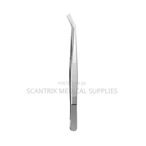 Stainless Steel College Forceps