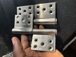 Imported Stainless Hinges