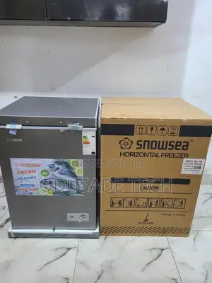Snowsea Bd158 Chest Freezer 110l – Compact Efficient