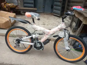 Eastman 24" Bicycle