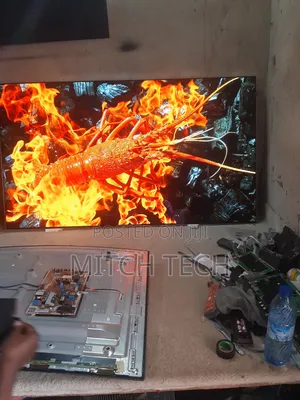 75inches Oled Tv Repair