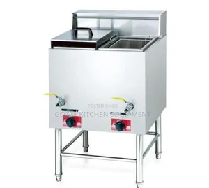 Standing Deep Fryer Gas