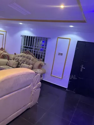 Professional Cleaning Services