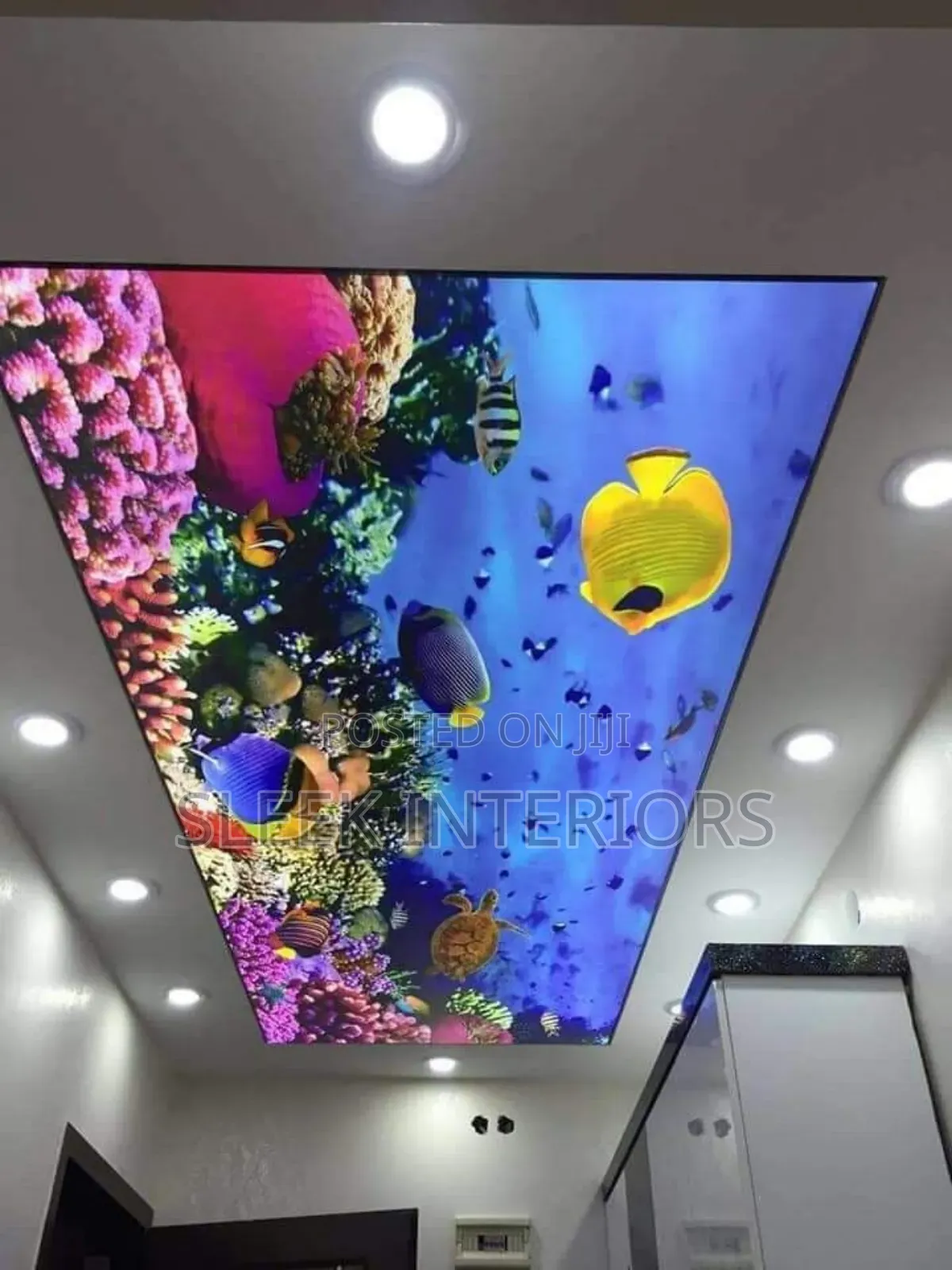 Authentic Stretch Ceiling