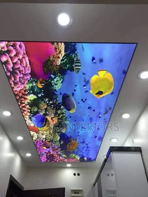 Authentic Stretch Ceiling