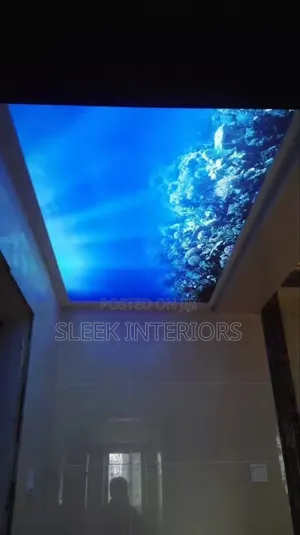Supper Effect Stretch Ceiling