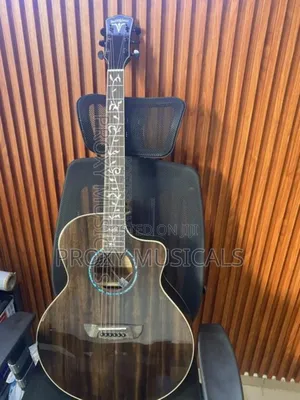 Bullfighter Electroacoustic Guitar! 