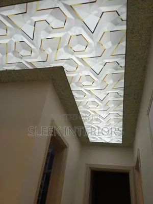 Imported Stretch Ceiling