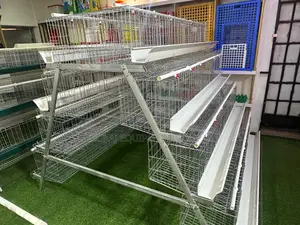 160 Birds Capacity Layers Cages Imported Hotdip (20+ Years )