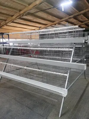 96 Birds Imported Hot Galvanize Cage (With 20 Years Guarante