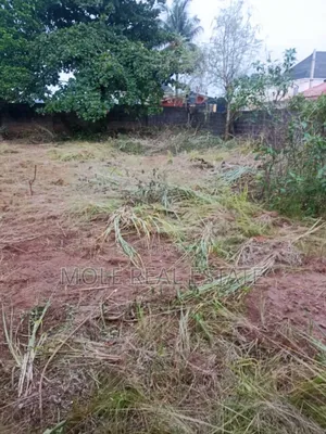 30ft / 120ft Plot Piled Dwarf Fenc Ijegun / Ijegemo New Expressway