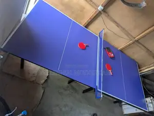 Giant Outdoor Table Tennis