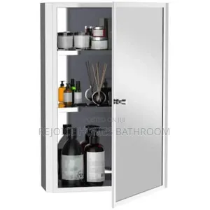 Luxury Stainless Steel Wall Hung Storage Mirror With Shelve