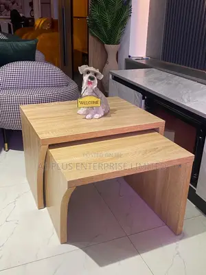 2 In1 Extendable Center Table