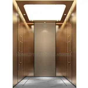 Domestic Pneumatic Elevator