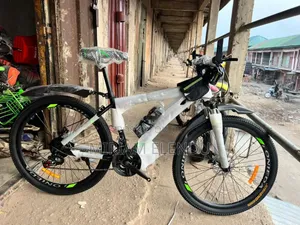 Adult Bicycle