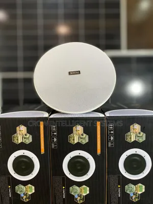Ceiling Speaker