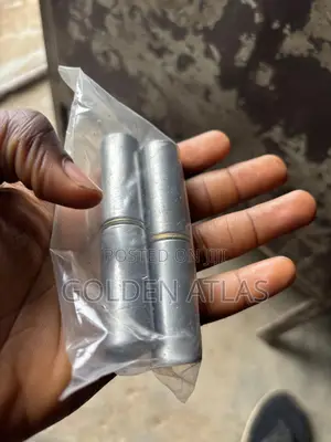 Imported Cone Hinges