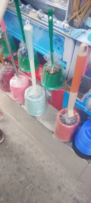 Plastic Toilet Brush in Colours