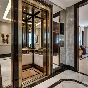 Home Lift Ss Cabinet 4 Floors Passenger Elevators