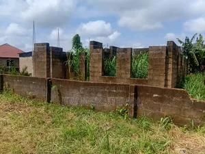 Half Plot Of Land