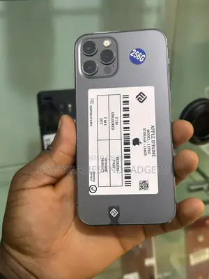 Apple iPhone 12 Pro 256 GB Gray