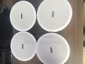 Tundra Ceiling Speaker 15 Watts