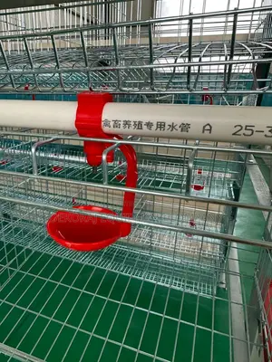 High Grade Imported 96 Layers Cage Main Dealer In Nigeria