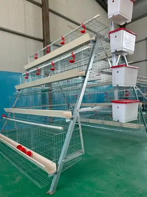 120 Birds,160 Birds Imported Hot Dip Cage