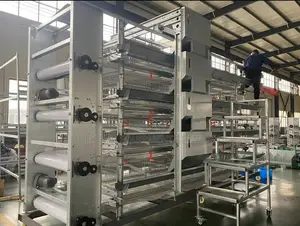 Fully Automated Cage Main Dealer In Nigeria Holds 100k Birds
